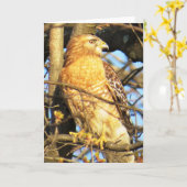 Carte de voeux Hawk à épaulettes (Fleur jaune)