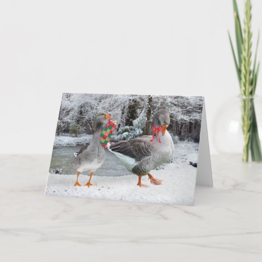 Carte de vœux "Henri & Colette" (Devant)