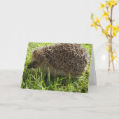 Carte de voeux Hérisson (Fleur jaune)