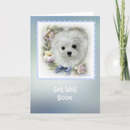 Carte de voeux Hermès Maltais "Get Well" (Devant)
