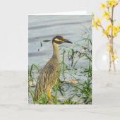 Carte de voeux - Héron de nuit Jaune couronné (Fleur jaune)