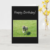 Carte de voeux heureuse de Bithday Pitbull (Fleur jaune)