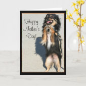 Carte de voeux heureuse de chiwawa du jour de mère (Fleur jaune)
