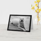 Carte de voeux heureuse de pitbull (Fleur jaune)