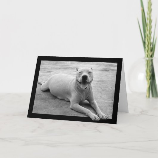 Carte de voeux heureuse de pitbull (Devant)