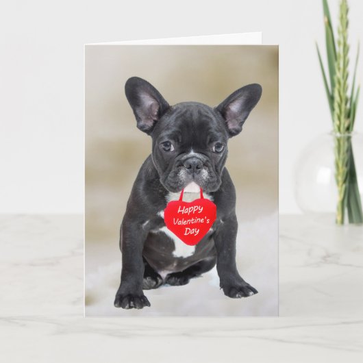 Carte de voeux Heureuse Sainte-Valentin Bulldog (Devant)