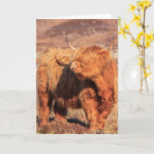 Carte de voeux Highland Cow (Fleur jaune)
