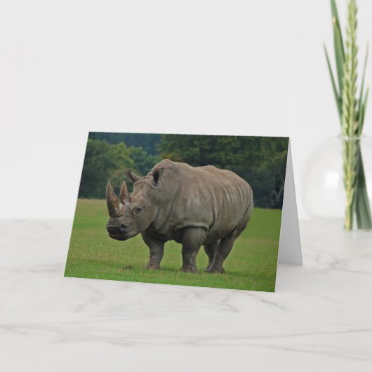 Carte de voeux Hippopotamus (Devant)