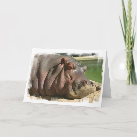 Carte de voeux Hippopotamus (Devant)