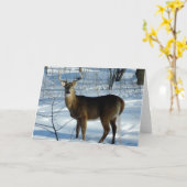Carte de voeux hiver White Tail Deer (Buck) (Fleur jaune)