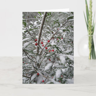 Carte de vœux "Holly dans la neige".