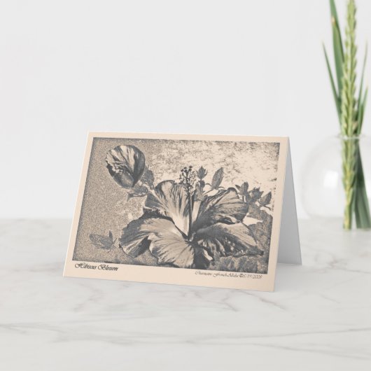 Carte de voeux Hybiscus fleuris (Devant)