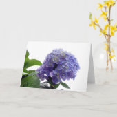 Carte de voeux Hydrangea Bush (Fleur jaune)