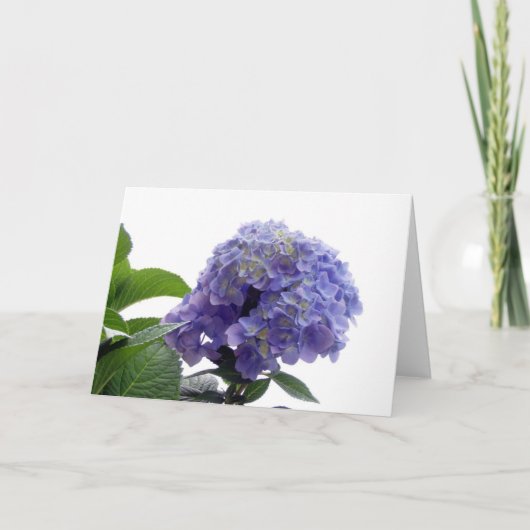 Carte de voeux Hydrangea Bush (Devant)