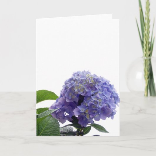 Carte de voeux Hydrangea Bush (Devant)