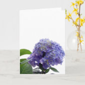 Carte de voeux Hydrangea Bush (Fleur jaune)