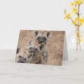Carte de voeux Hyenas (Fleur jaune)