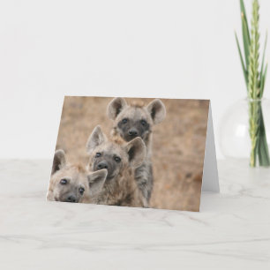 Carte de voeux Hyenas