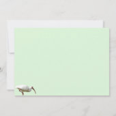Carte de voeux Ibis blanche (Dos)