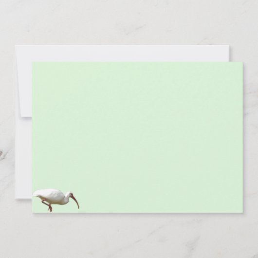 Carte de voeux Ibis blanche (Dos)