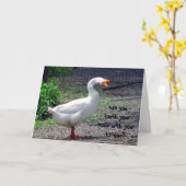 Carte de voeux idiote d'anniversaire d'oie (Fleur jaune)