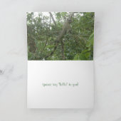 carte de voeux iguana (knock knock) (Intérieur)