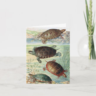 Carte de vœux illustrée de tortues de livre vintag