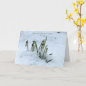 Carte de voeux Imbolc Snowdrop (Fleur jaune)