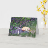 Carte de voeux inconditionnelle (Fleur jaune)