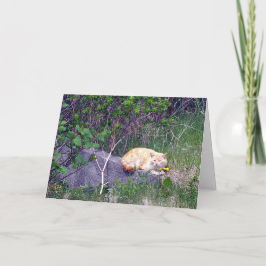 Carte de voeux inconditionnelle (Devant)