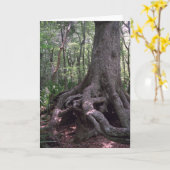 Carte de voeux indienne Artifact Custom Louisiana (Fleur jaune)