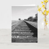 Carte de voeux infinie de chemin de fer, carte de (Fleur jaune)