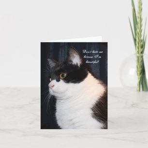 Carte de vœux inspirante pour chaton de Noël