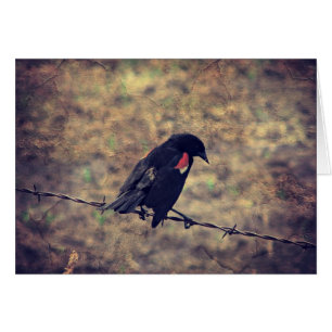 Carte de voeux intérieure Blank Red Winged Blackbi