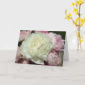 Carte de voeux intérieure de blanc rose blanc de (Fleur jaune)
