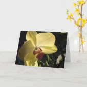 Carte de voeux intérieure jaune vierge orchidée (Fleur jaune)