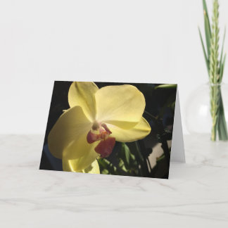 Carte de voeux intérieure jaune vierge orchidée