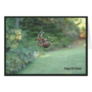 Carte de voeux internet Spider web