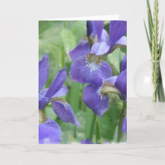 Carte de voeux Iris Bulbs (Devant)