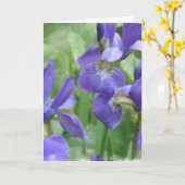Carte de voeux Iris Bulbs (Fleur jaune)