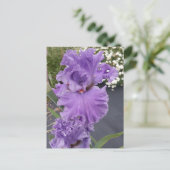 Carte de voeux Iris Irises Fleur Violette Florale  (Debout devant)