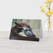 Carte de voeux "Itchy Okapi" (Fleur jaune)