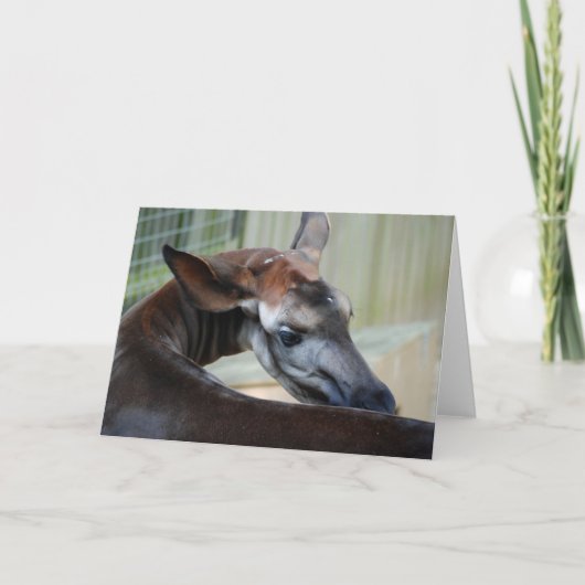 Carte de voeux "Itchy Okapi" (Devant)