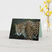 carte de voeux jaguar (Fleur jaune)
