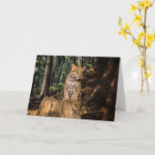 Carte de voeux Jaguar Cub (Fleur jaune)