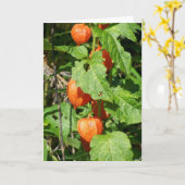 Carte de voeux japonaise Lanterns (vide à l'intéri (Fleur jaune)