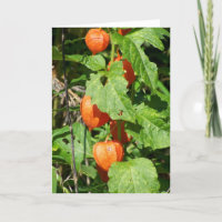 Carte de voeux japonaise Lanterns (vide à l'intéri