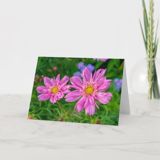 Carte de voeux - Jardin Marginal Way (Devant)