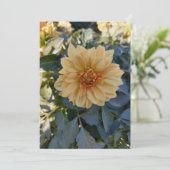 Carte de voeux jaune Dahlia Été Fleur Vierge (Debout devant)