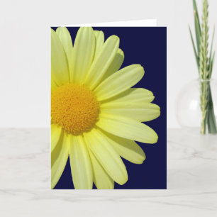 Carte de voeux - Jaune Daisy sur le ciel de minuit